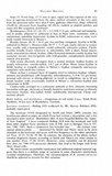 Boletus miniato-olivaceus image