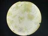 Lachnellula calyciformis image