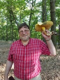 Boletus pallidoroseus image