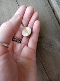 Pluteus saupei image