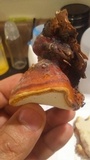 Fomitopsis schrenkii image