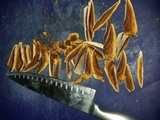 Ganoderma curtisii image