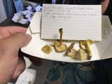 Cantharellus iuventateviridis image