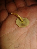 Hypholoma subviride image