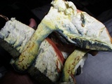Boletus pallidoroseus image