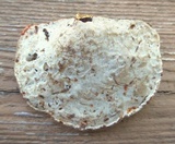 Ganoderma sessile image
