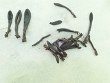 Geoglossum difforme image