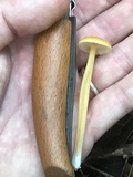 Entoloma unicolor image