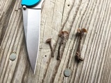 Pseudocraterellus calyculus image