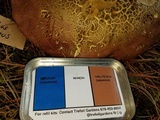 Boletus michoacanus image