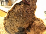 Alessioporus rubriflavus image