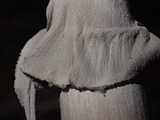 Amanita porphyria image