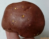 Lanmaoa pallidorosea image