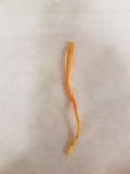 Clavulinopsis laeticolor image