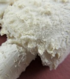 Amanita thiersii image