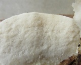 Tyromyces chioneus image
