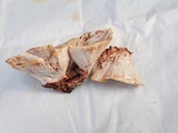 Abortiporus biennis image