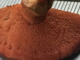 Chalciporus pseudorubinellus image
