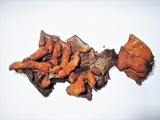 Inocutis rheades image