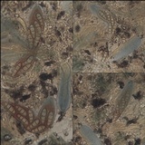 Opegrapha durieui image