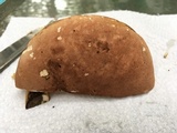Tylopilus rubrobrunneus image