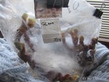 Ganoderma resinaceum image