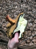 Boletus pallidoroseus image