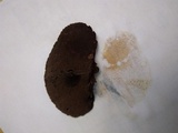 Inocutis rheades image