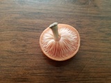 Rhodotus palmatus image