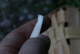 Amanita pseudovolvata image