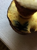 Boletus billieae image