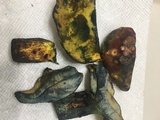 Boletus rufocinnamomeus image