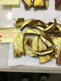 Boletus pallidoroseus image