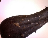 Geoglossum atropurpureum image