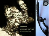 Xylaria longipes image