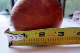 Boletus chippewaensis image