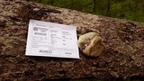 Fomitopsis officinalis image