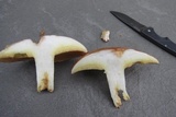 Suillus weaverae image