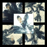 Caloplaca flavescens image