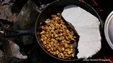 Calvatia booniana image