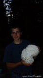 Calvatia booniana image