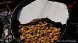 Calvatia booniana image