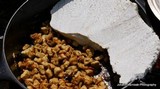 Calvatia booniana image