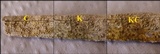 Pertusaria heterochroa image