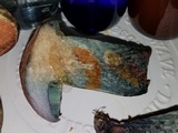Boletus fairchildianus image