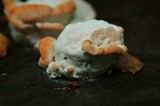 Fomitopsis spraguei image