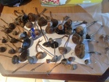 Panaeolus cinctulus image