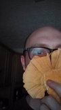 Laetiporus cincinnatus image