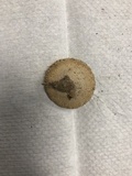 Lycoperdon marginatum image