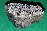 Buellia sequax image